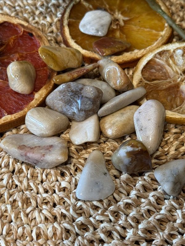 Korall, agatisert tromlet medium