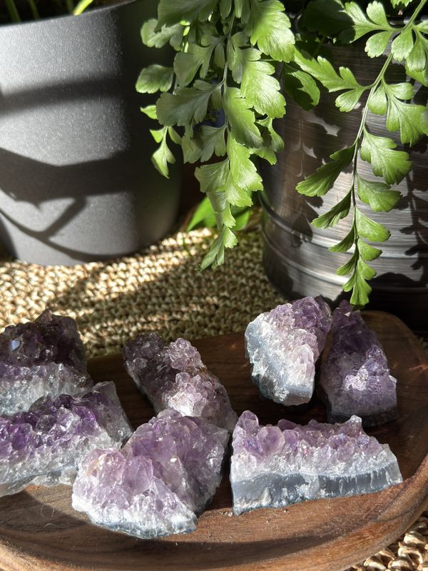 Ametyst gruppe x-small