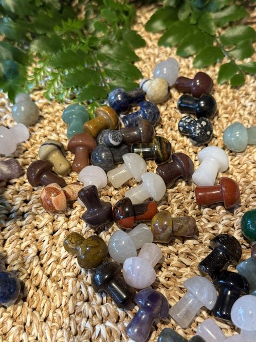 Hovedbilde Sopp mini, mix