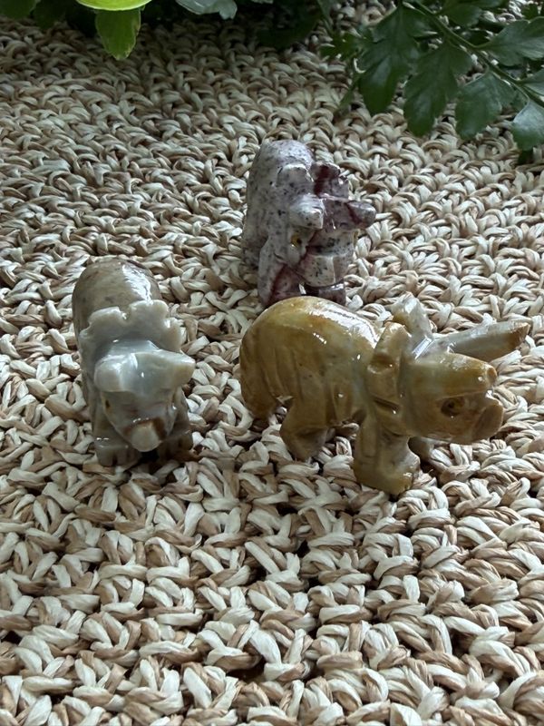 Triceratops i kleberstein ca 4 cm