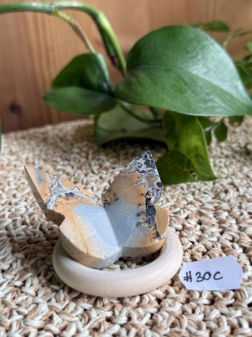 Hovedbilde Sommerfugl Maligano Jaspis(#30)