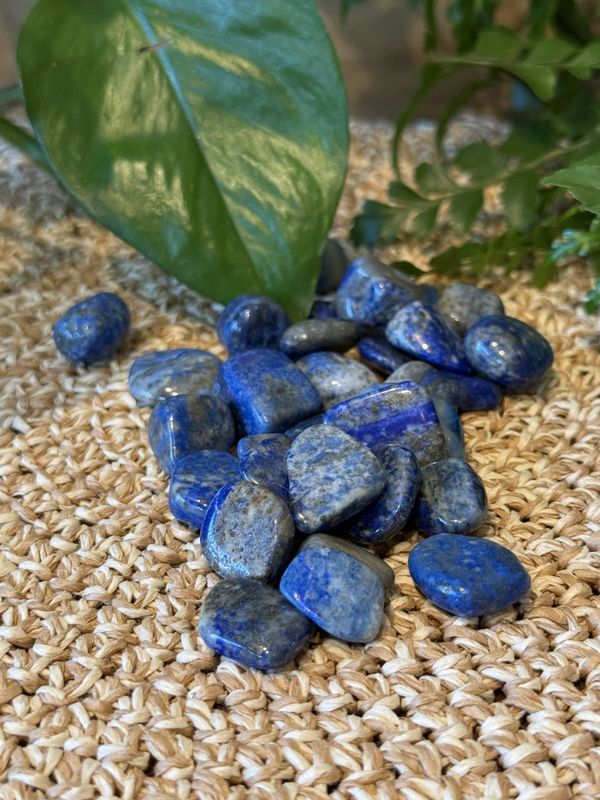 Lapis Lazuli, tumble, medium