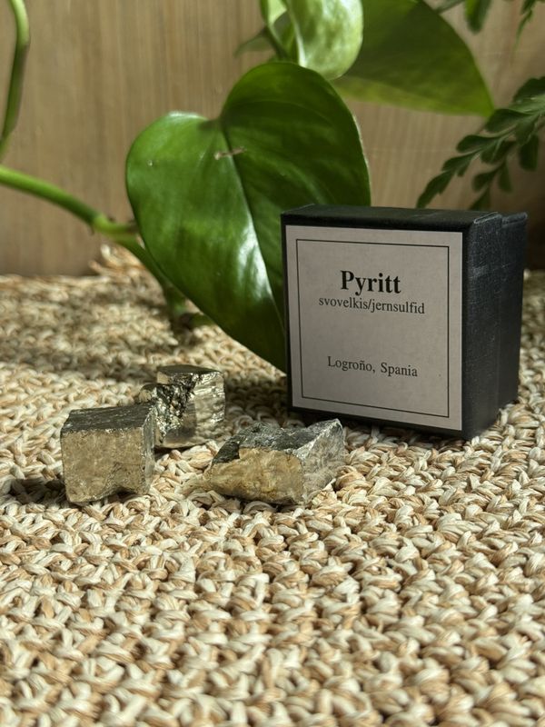 Pyritt kube i eske, 1-2cm (Logroño, Spania) 